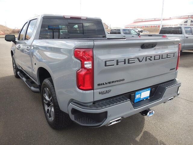 2025 Chevrolet Silverado 1500 Vehicle Photo in JASPER, GA 30143-8655