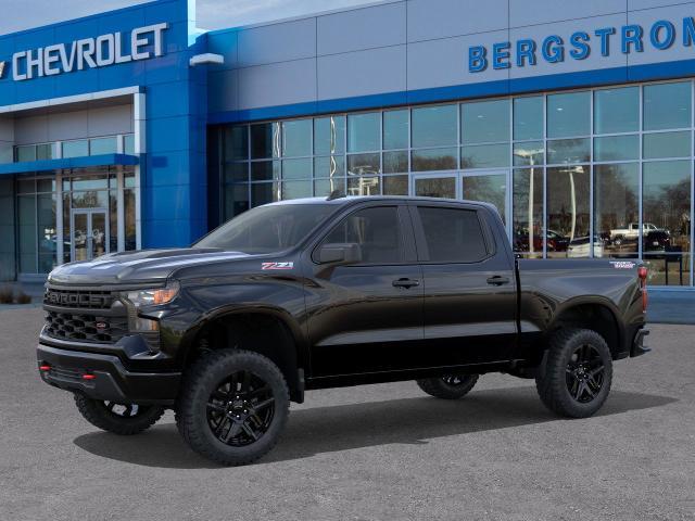 2025 Chevrolet Silverado 1500 Vehicle Photo in NEENAH, WI 54956-2243