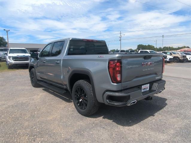 2025 GMC Sierra 1500 Vehicle Photo in ALBERTVILLE, AL 35950-0246