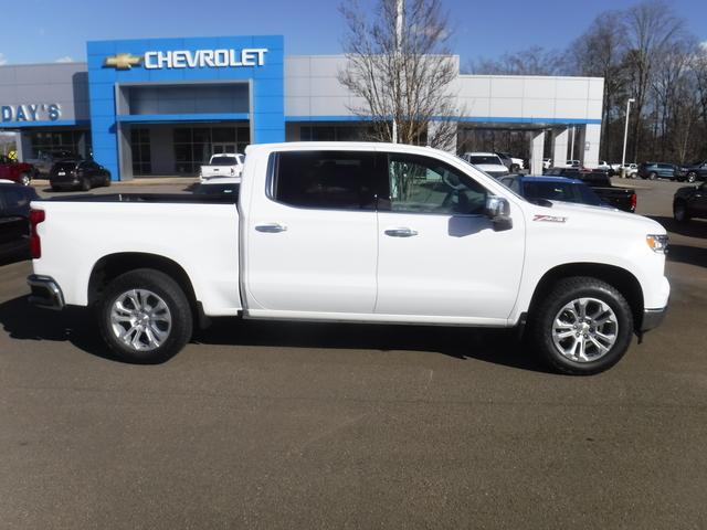 2025 Chevrolet Silverado 1500 Vehicle Photo in JASPER, GA 30143-8655