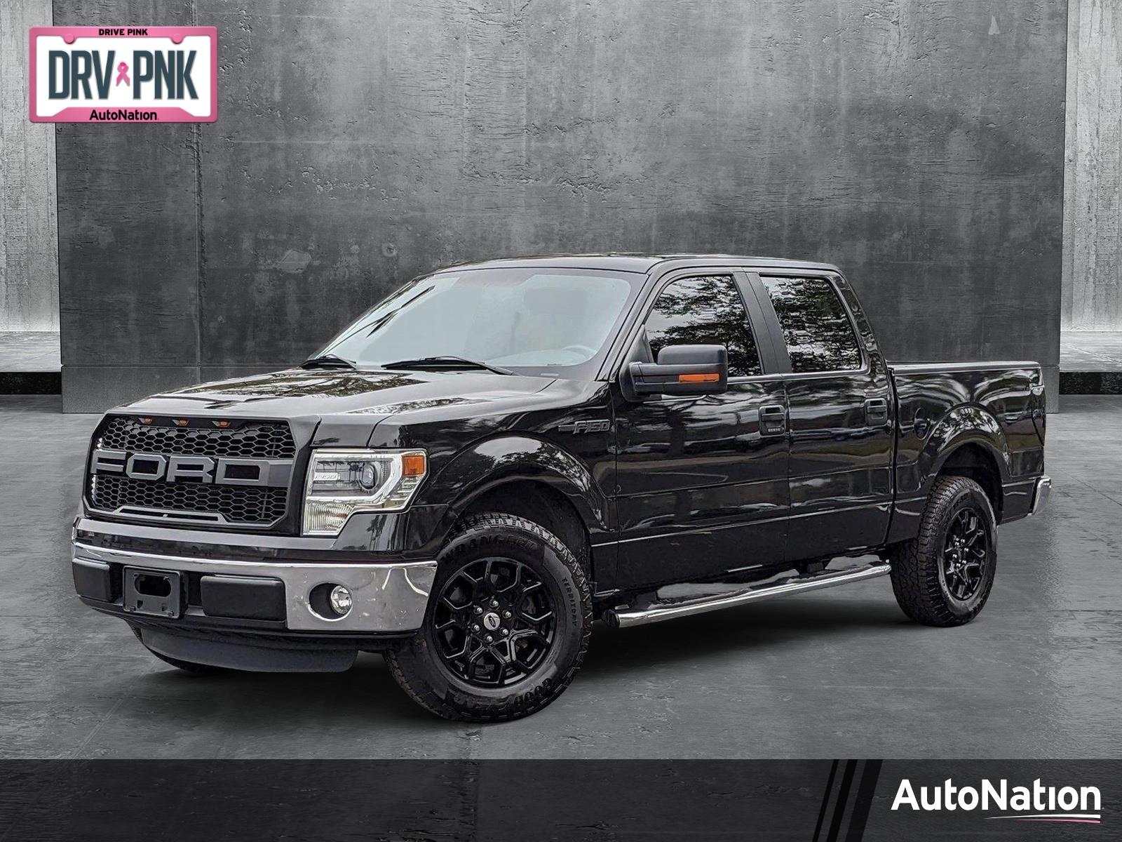 2014 Ford F-150 Vehicle Photo in Sanford, FL 32771