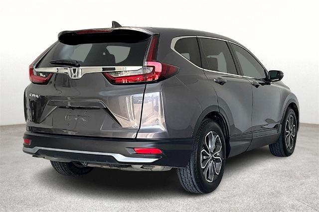 2022 Honda CR-V Vehicle Photo in San Antonio, TX 78230