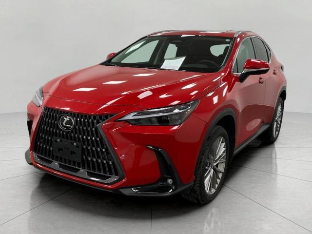 2024 Lexus NX 350 Vehicle Photo in Appleton, WI 54913