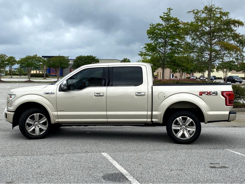 2017 Ford F-150 Vehicle Photo in POOLER, GA 31322-3252