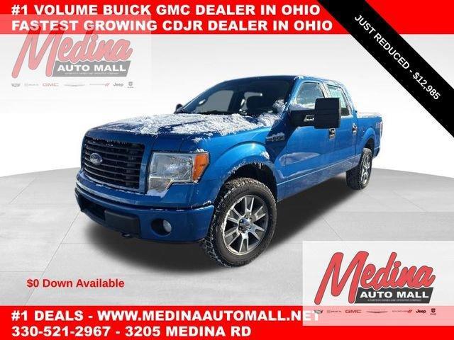 2014 Ford F-150 Vehicle Photo in MEDINA, OH 44256-9631