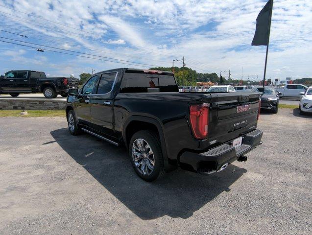 2025 GMC Sierra 1500 Vehicle Photo in ALBERTVILLE, AL 35950-0246