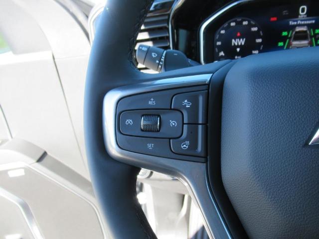 2025 Chevrolet Silverado 1500 Vehicle Photo in LEESBURG, FL 34788-4022