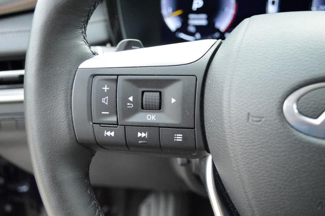 2024 INFINITI QX60 Vehicle Photo in Houston, TX 77090
