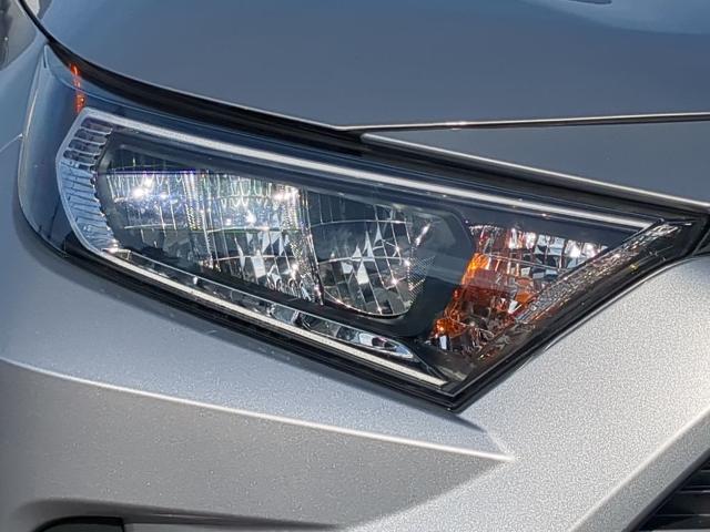 2020 Toyota RAV4 Vehicle Photo in Brunswick, GA 31525