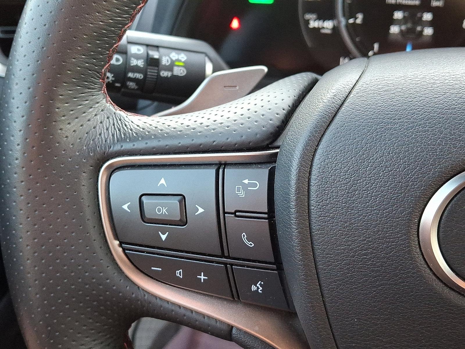 2024 Lexus UX 250h Vehicle Photo in Harrisburg, PA 17111