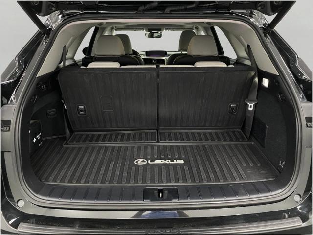 2019 Lexus RX 350L Vehicle Photo in Appleton, WI 54913