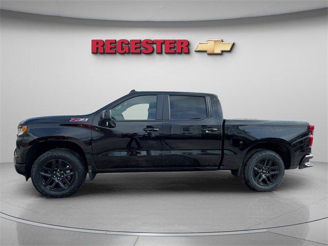 2025 Chevrolet Silverado 1500 Vehicle Photo in THOMPSONTOWN, PA 17094-9014