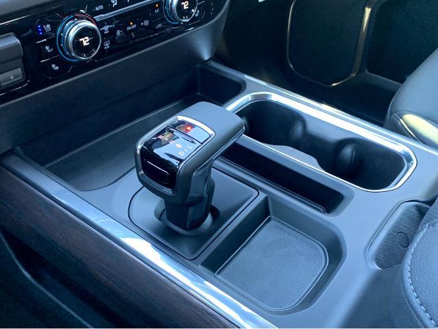 2025 GMC Sierra 1500 Vehicle Photo in BEAUFORT, SC 29906-4218