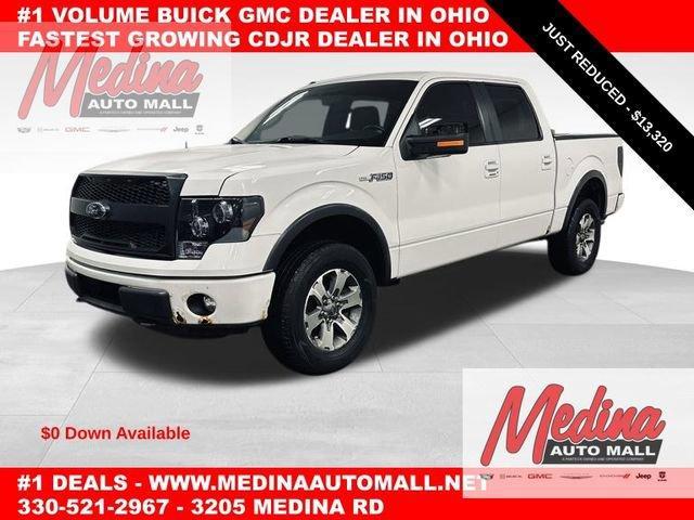 2012 Ford F-150 Vehicle Photo in MEDINA, OH 44256-9631