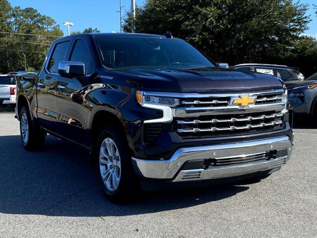 2023 Chevrolet Silverado 1500 Vehicle Photo in Hinesville, GA 31313