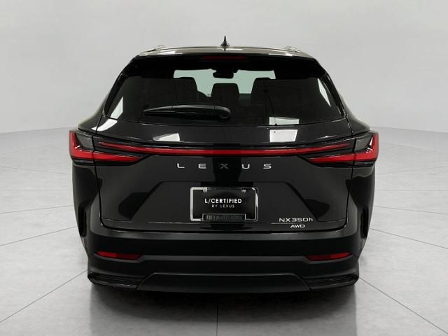 2024 Lexus NX 350h Vehicle Photo in Appleton, WI 54913