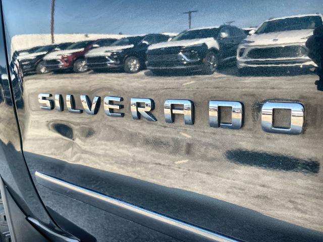 2018 Chevrolet Silverado 1500 Vehicle Photo in WILLIAMSVILLE, NY 14221-2883