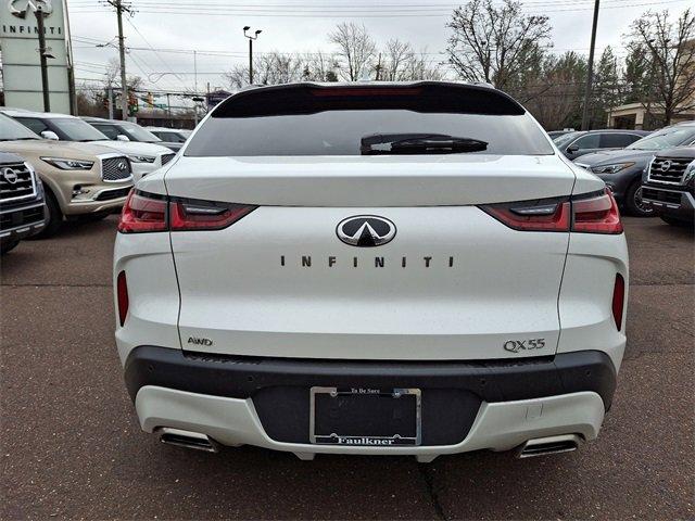 2023 INFINITI QX55 Vehicle Photo in Willow Grove, PA 19090