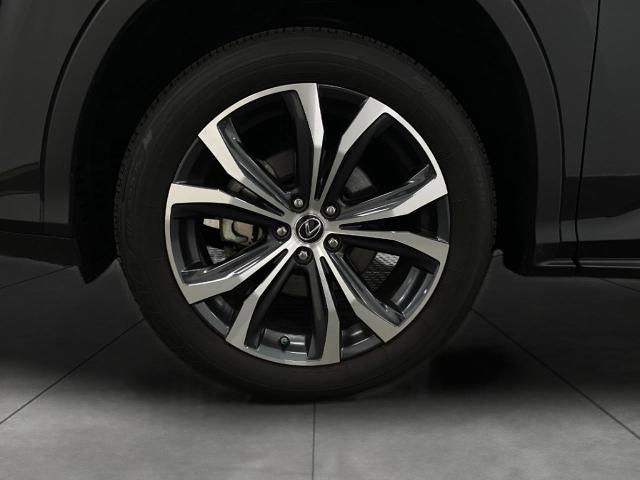 2022 Lexus RX 350 Vehicle Photo in Appleton, WI 54913