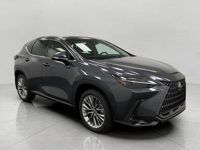 2025 Lexus NX 350h Vehicle Photo in Appleton, WI 54913
