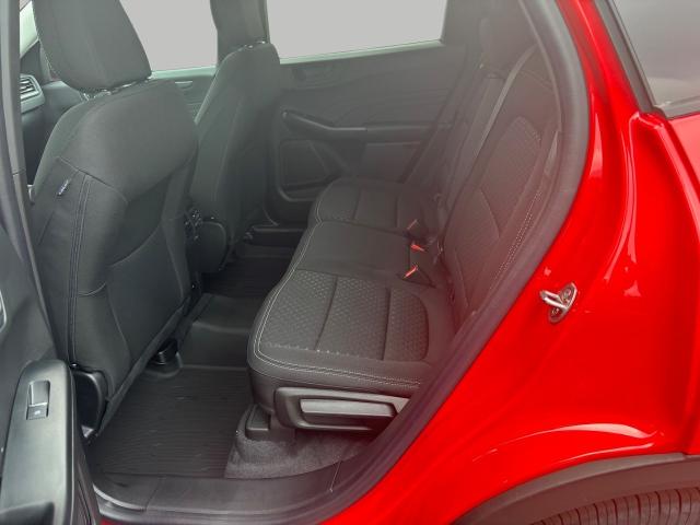 2024 Ford Escape Vehicle Photo in Neenah, WI 54956