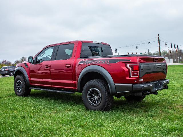 2019 Ford F-150 Vehicle Photo in MADISON, IN 47250-1611
