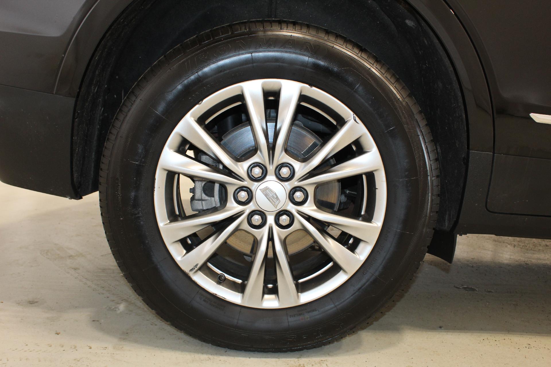 2023 Cadillac XT5 Vehicle Photo in NORTHAMPTON, MA 01060-1120
