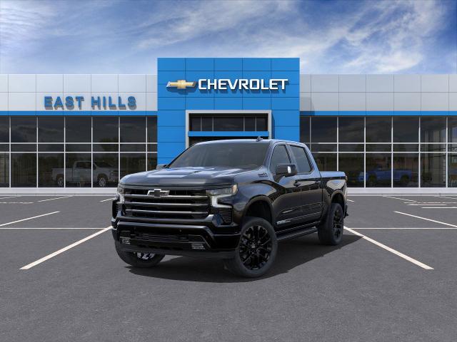 2025 Chevrolet Silverado 1500 Vehicle Photo in Roslyn, NY 11576