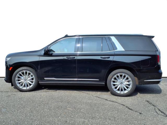 2023 Cadillac Escalade Vehicle Photo in SMITHTOWN, NY 11787-5023