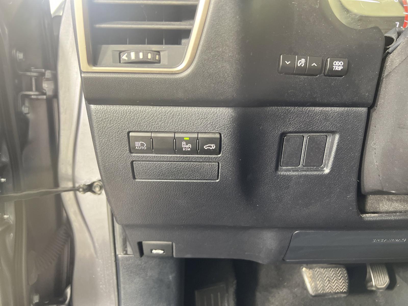 2019 Lexus NX 300 Vehicle Photo in Georgetown, TX 78626