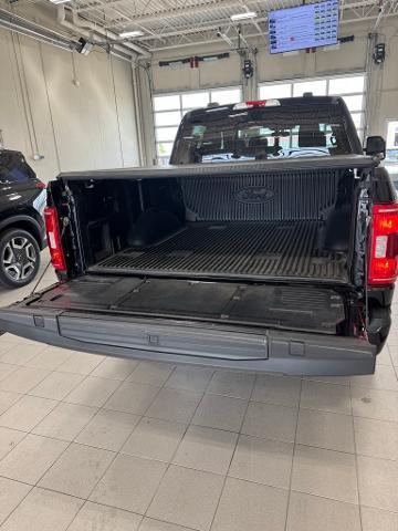 2023 Ford F-150 Vehicle Photo in Peoria, IL 61615