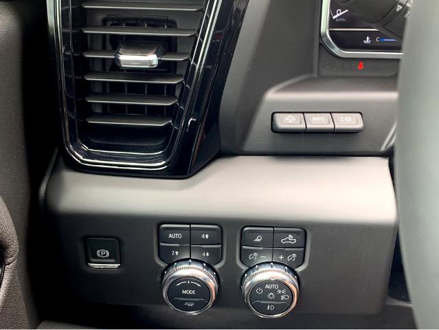 2025 GMC Sierra 1500 Vehicle Photo in BEAUFORT, SC 29906-4218