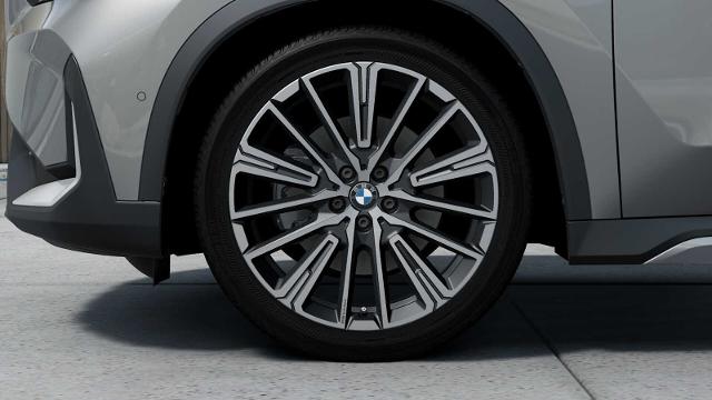 2025 BMW X1 xDrive28i Vehicle Photo in GRAPEVINE, TX 76051
