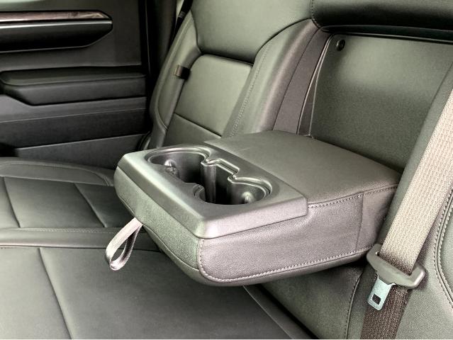2023 Chevrolet Silverado 1500 Vehicle Photo in BEAUFORT, SC 29906-4218