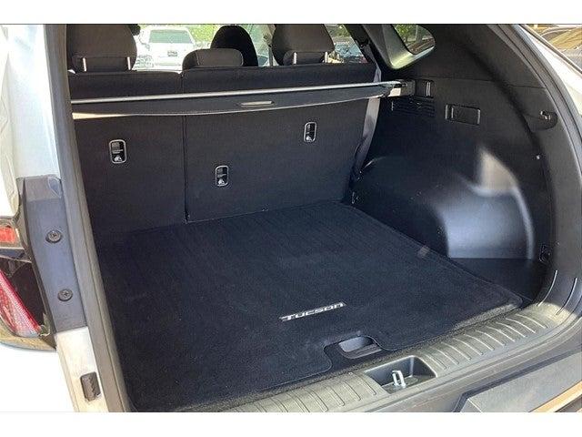 2023 Hyundai TUCSON Vehicle Photo in San Antonio, TX 78230