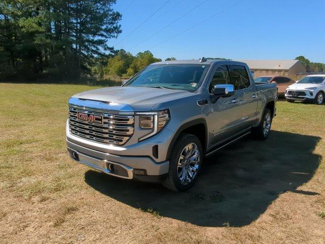 2025 GMC Sierra 1500 Vehicle Photo in ALBERTVILLE, AL 35950-0246