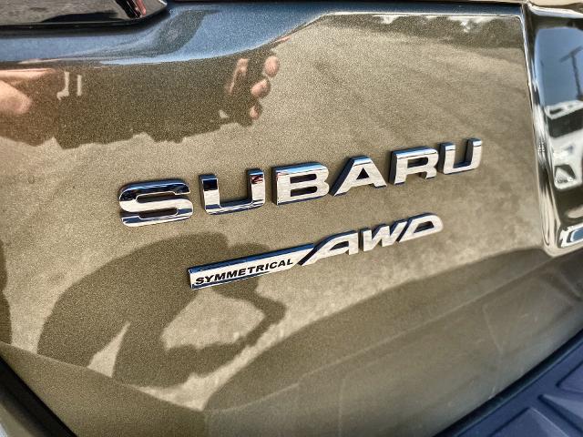 2020 Subaru Outback Vehicle Photo in WILLIAMSVILLE, NY 14221-2883