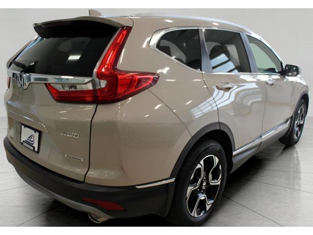 2019 Honda CR-V Vehicle Photo in Green Bay, WI 54304