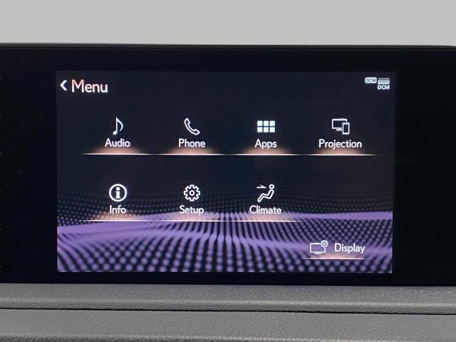 2022 Lexus RX 350 Vehicle Photo in Appleton, WI 54913