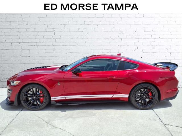 2021 Ford Mustang Vehicle Photo in Tampa, FL 33612