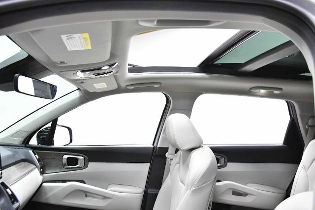 2023 Kia Sorento Vehicle Photo in DALLAS, TX 75235