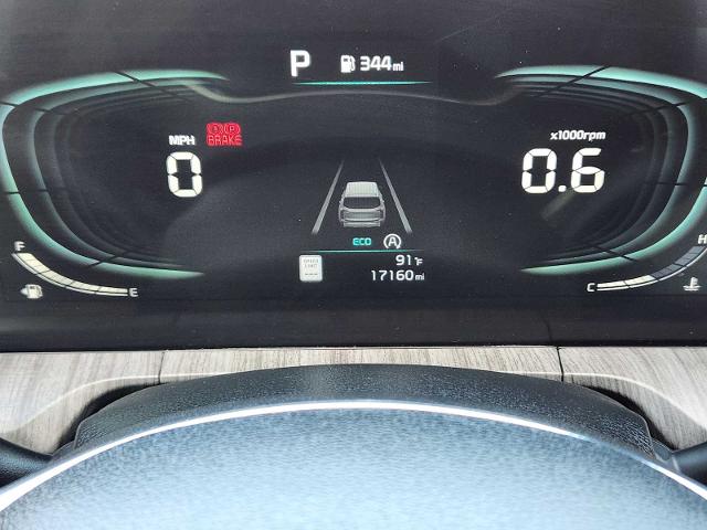 2024 Kia Telluride Vehicle Photo in DENTON, TX 76210-9321
