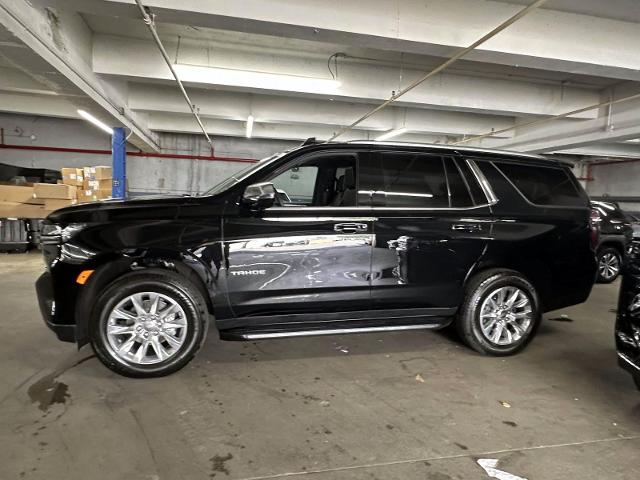 2023 Chevrolet Tahoe Vehicle Photo in Roslyn, NY 11576