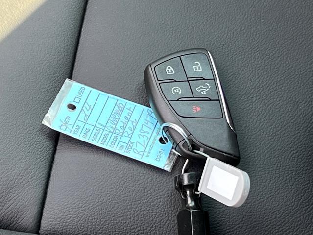 2024 Chevrolet Silverado 1500 Vehicle Photo in BEAUFORT, SC 29906-4218