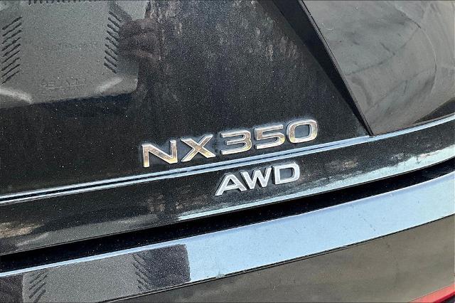 2022 Lexus NX 350 Vehicle Photo in Houston, TX 77007