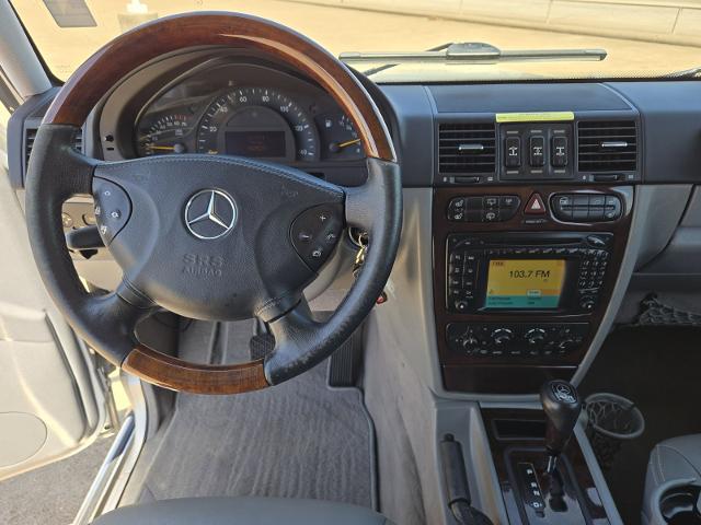2004 Mercedes-Benz G-Class Vehicle Photo in Weatherford, TX 76087