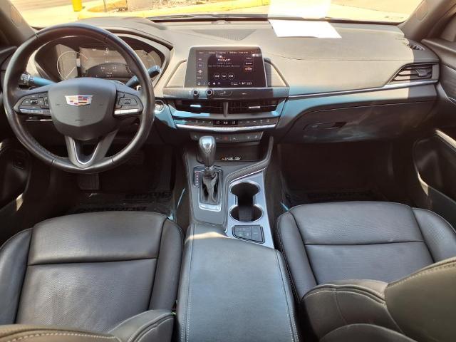 2023 Cadillac CT4 Vehicle Photo in Tampa, FL 33612