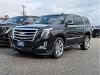 Used 2019 Cadillac Escalade Premium Luxury with VIN 1GYS4CKJ0KR127165 for sale in Kansas City