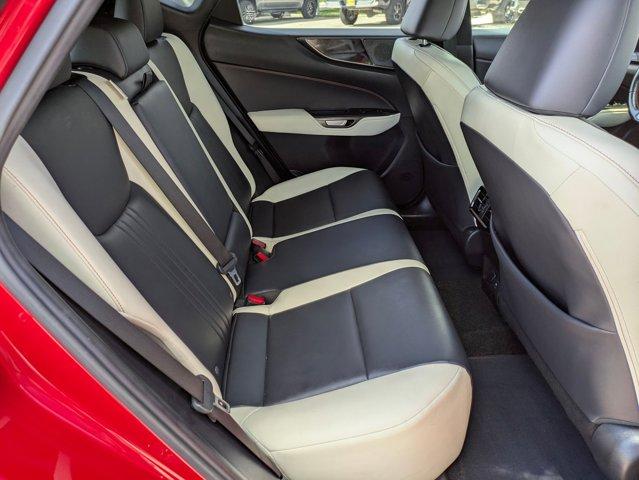 2023 Lexus NX 250 Vehicle Photo in San Antonio, TX 78209