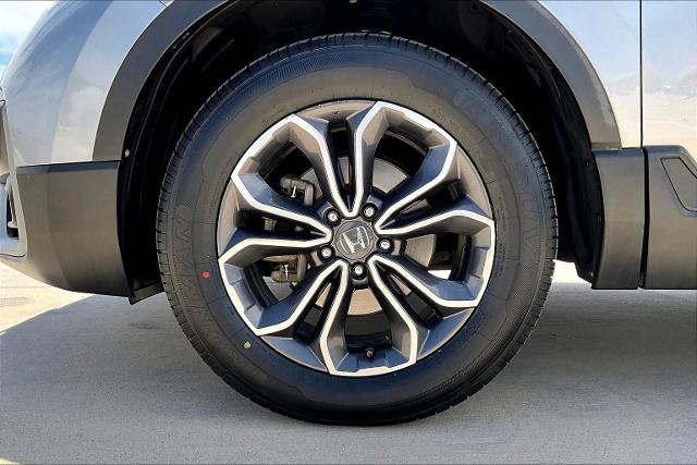 2020 Honda CR-V Vehicle Photo in San Antonio, TX 78230